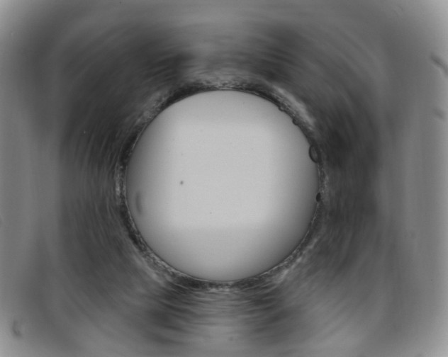 X0000096710065200802051047