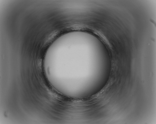 X0000096710066200802051047