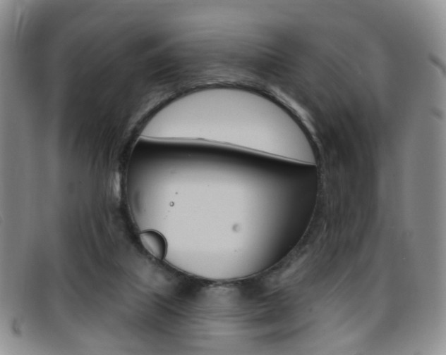 X0000096710067200802051047