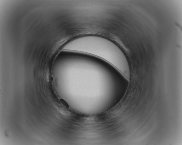 X0000096710068200802051047