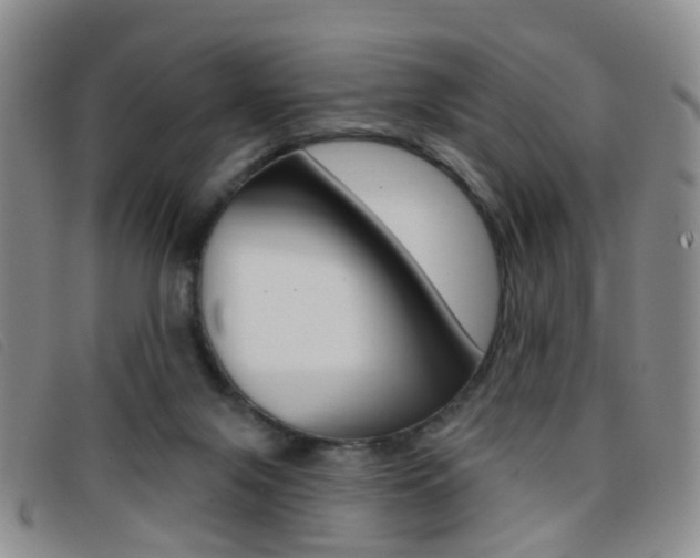 X0000096710071200802051047