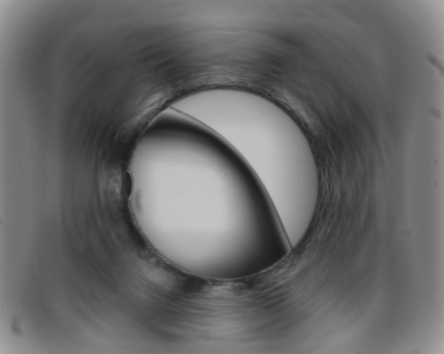 X0000096710072200802051047