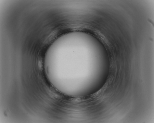 X0000096710074200802051047