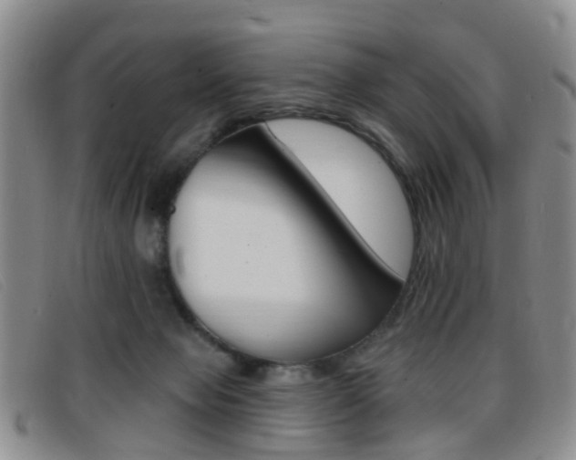 X0000096710077200802051047