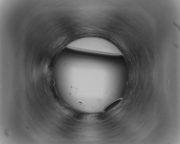 X0000096710078200802051047