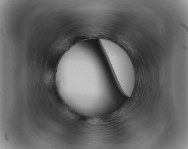 X0000096710079200802051047