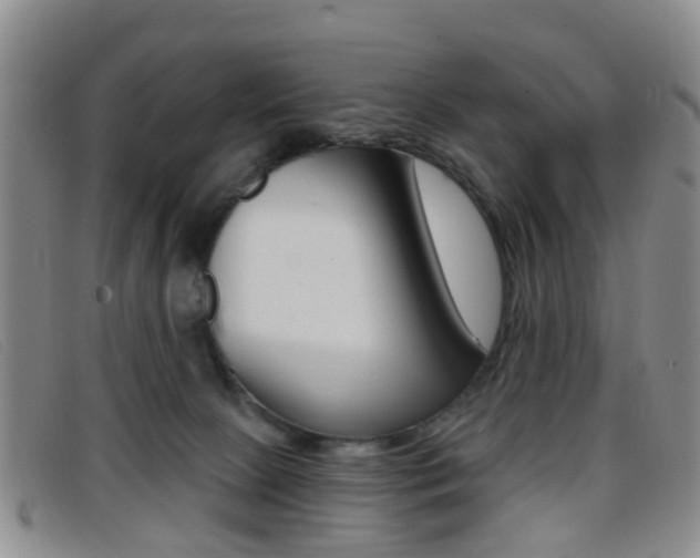 X0000096710081200802051047