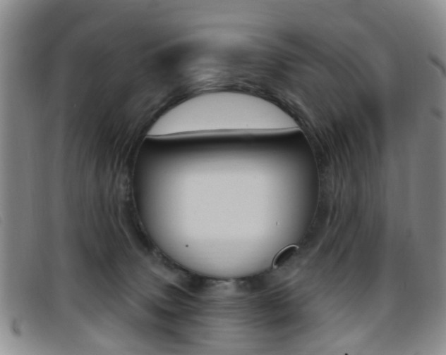 X0000096710083200802051047