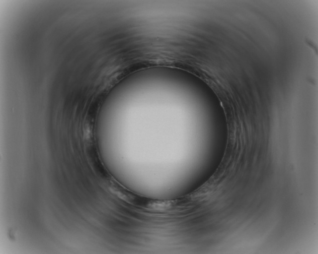 X0000096710084200802051047