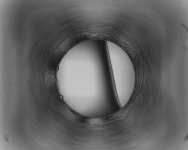 X0000096710085200802051047