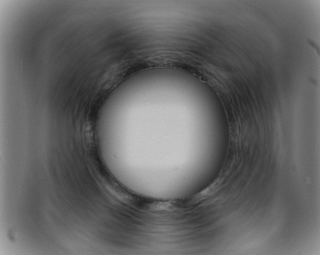 X0000096710086200802051047