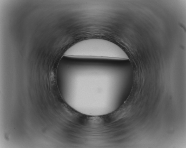 X0000096710087200802051047