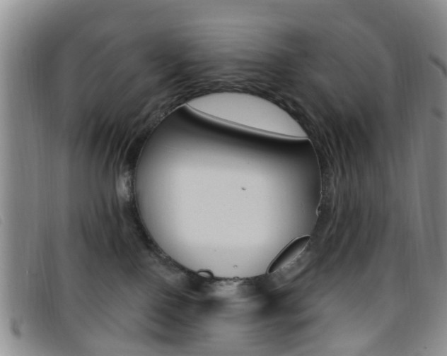 X0000096710090200802051047