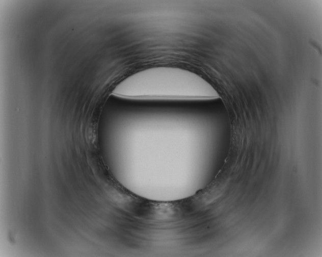 X0000096710091200802051047