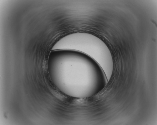 X0000096710092200802051047