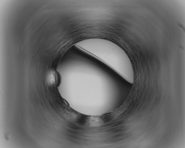 X0000096710095200802051047