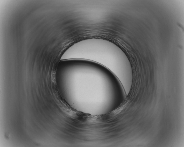 X0000096710096200802051047