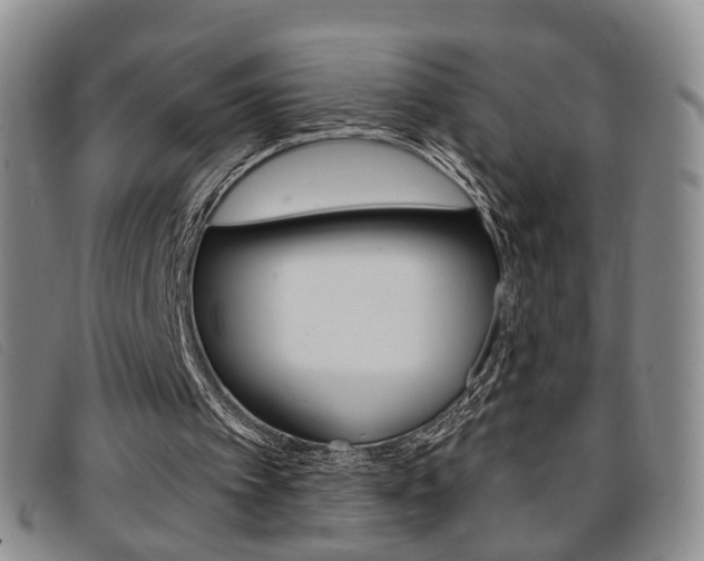 X0000096710097200802051047