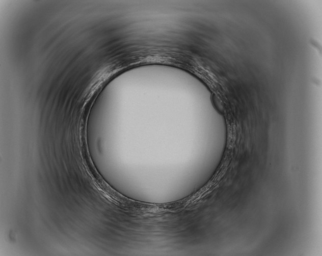 X0000096710098200802051047