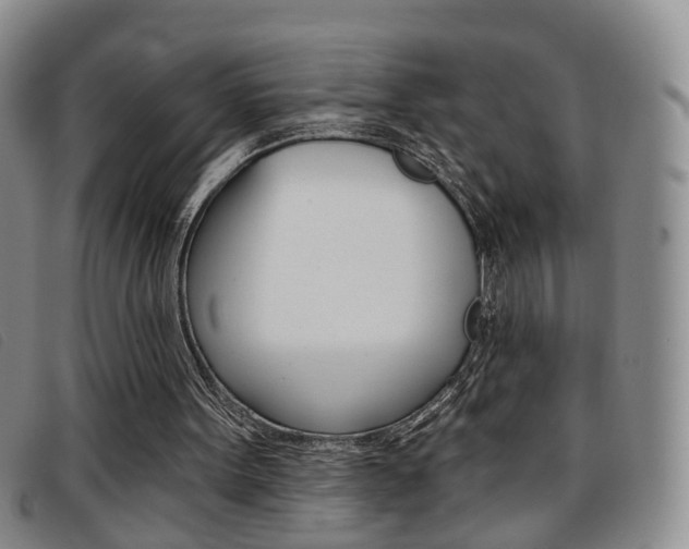 X0000096710099200802051047