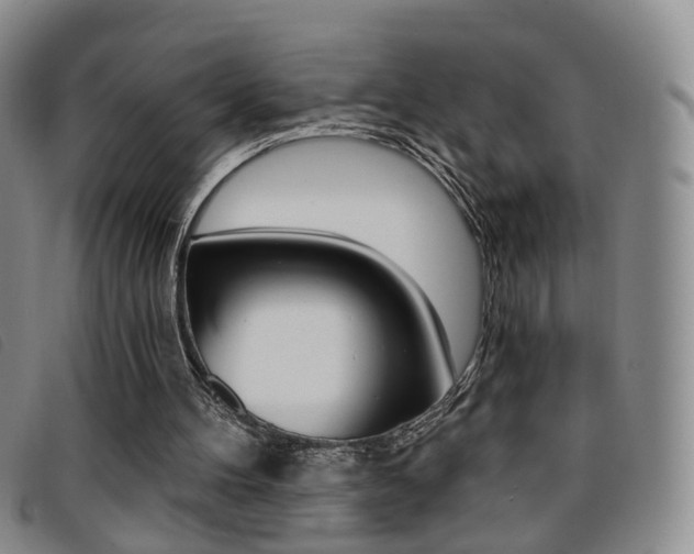 X0000096710100200802051047