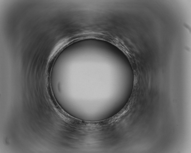 X0000096710101200802051047