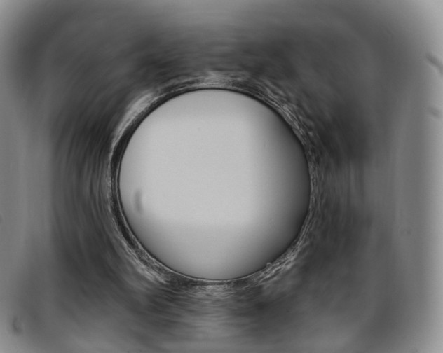 X0000096710102200802051047