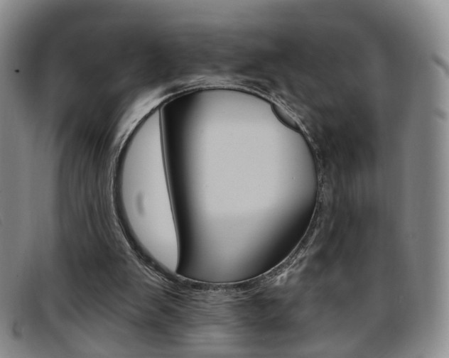 X0000096710103200802051047