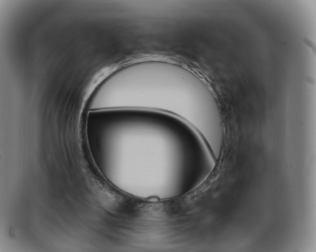 X0000096710104200802051047