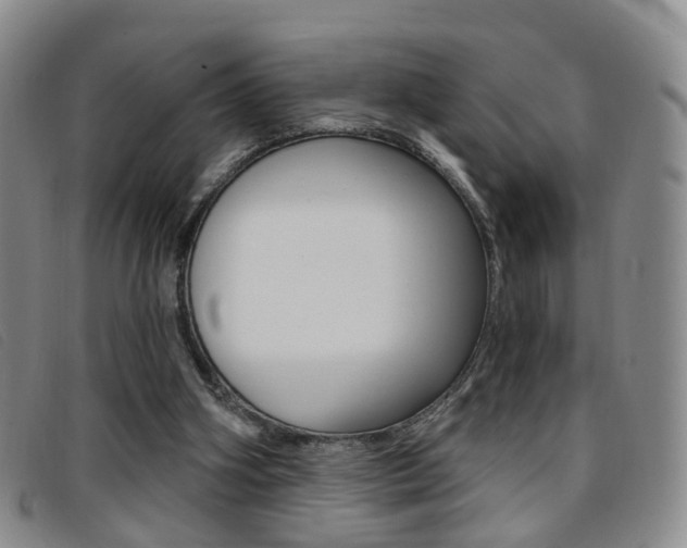 X0000096710106200802051046