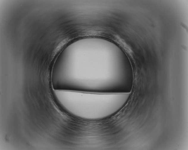 X0000096710107200802051046