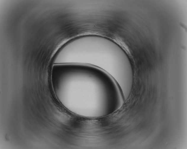 X0000096710108200802051046