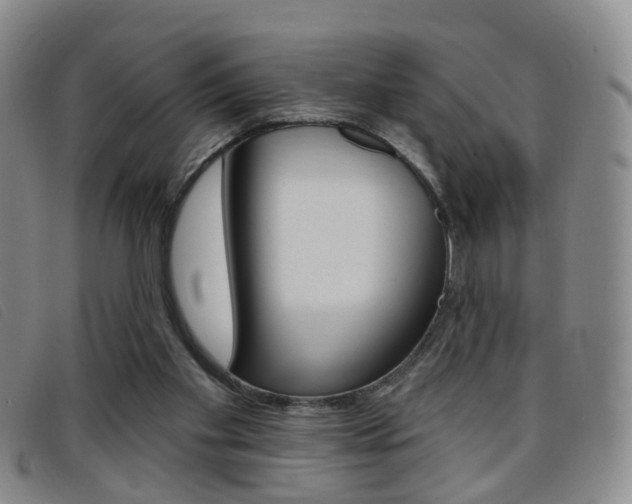 X0000096710109200802051046