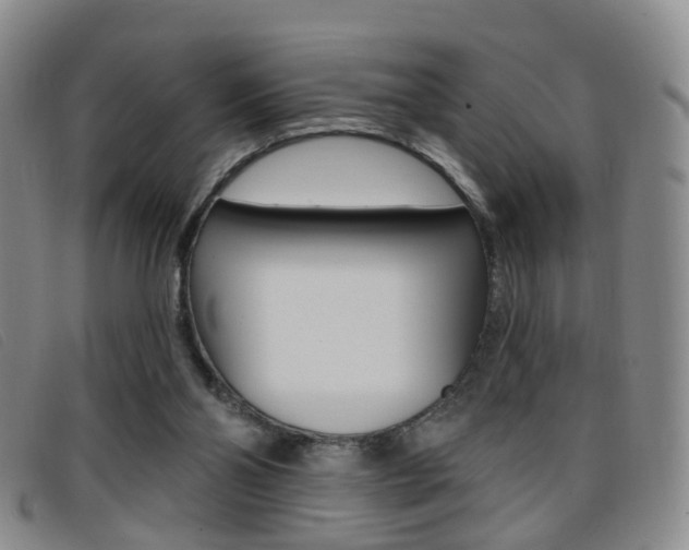 X0000096710110200802051046