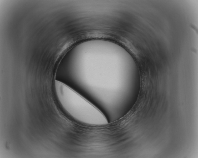 X0000096710111200802051046