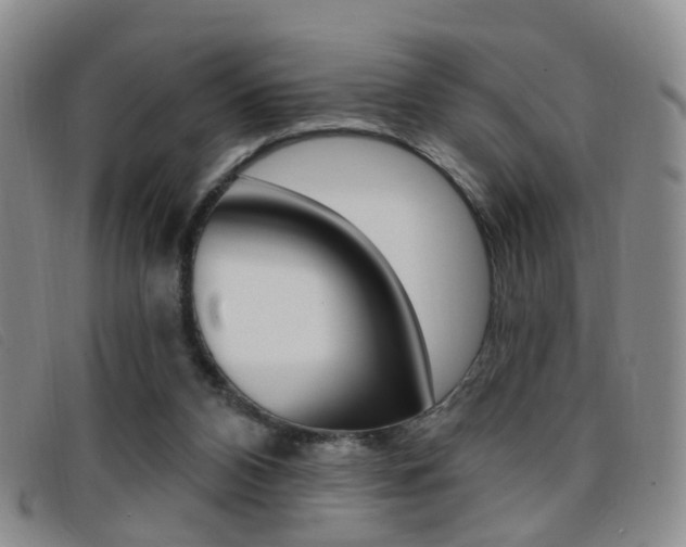 X0000096710112200802051046