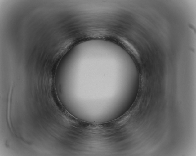 X0000096710113200802051046