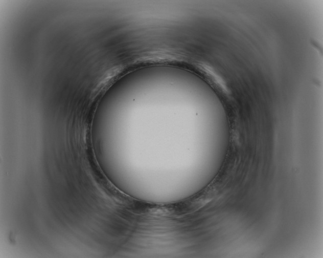 X0000096710115200802051046