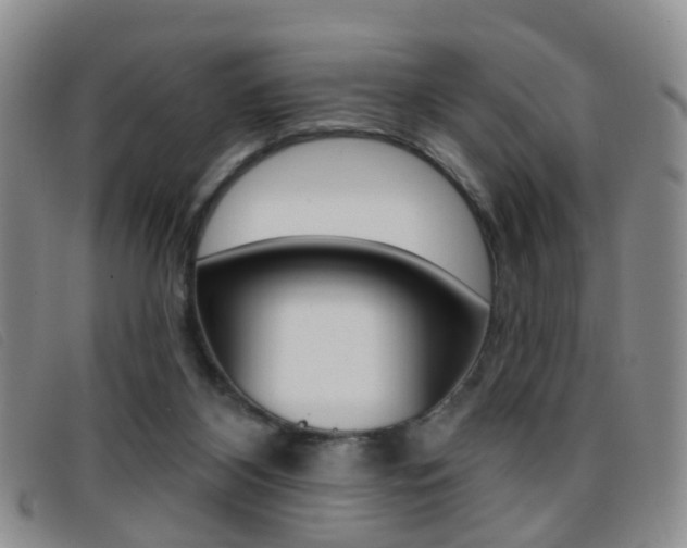 X0000096710116200802051046