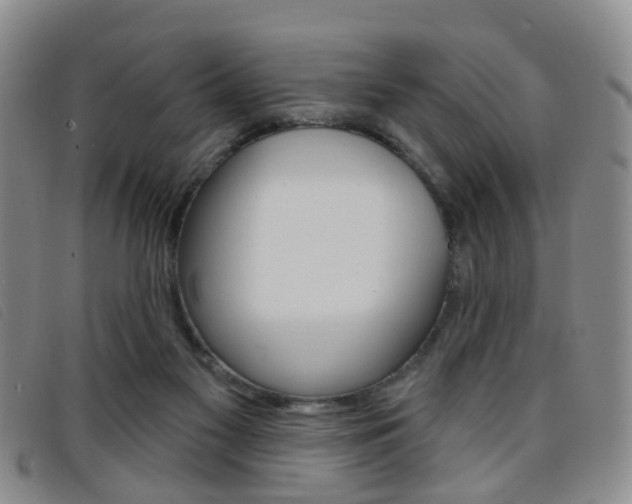 X0000096710117200802051046