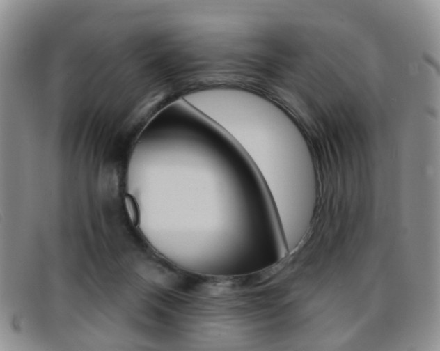 X0000096710120200802051046