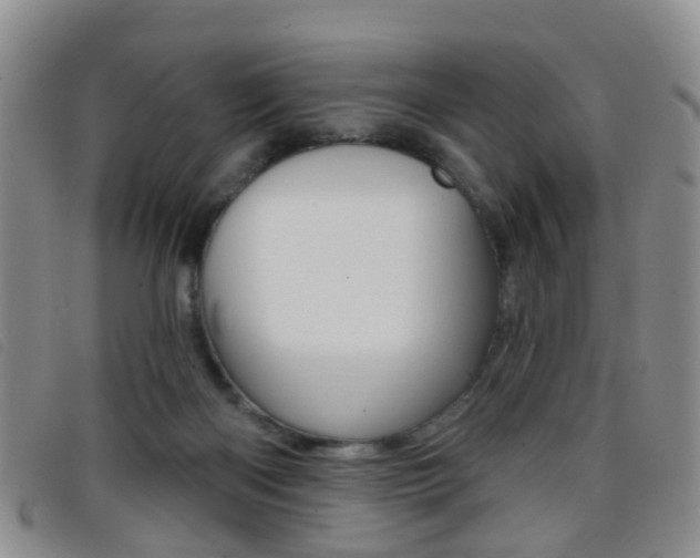 X0000096710122200802051046