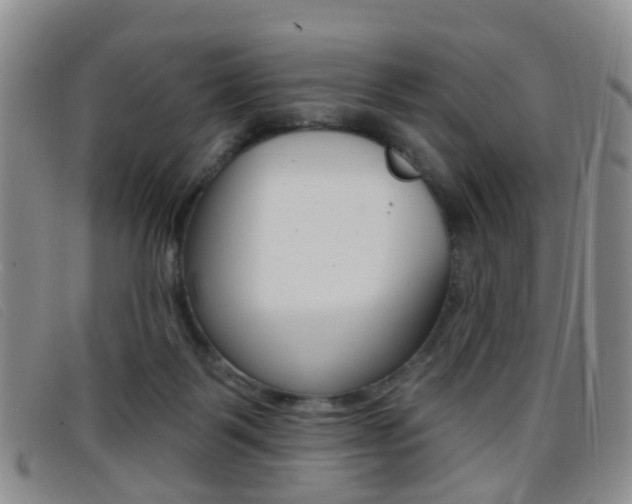 X0000096710123200802051046