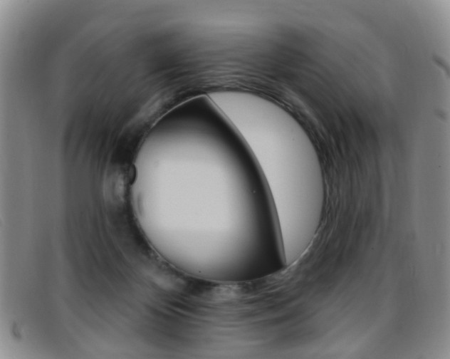 X0000096710124200802051046