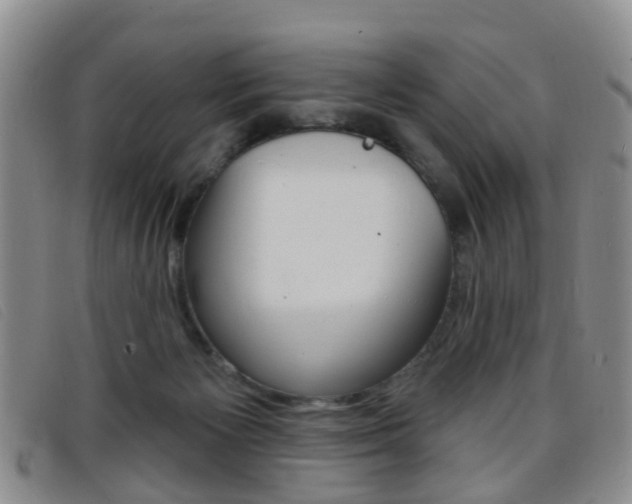 X0000096710125200802051046