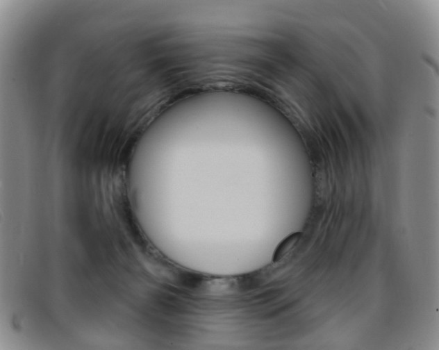 X0000096710126200802051046