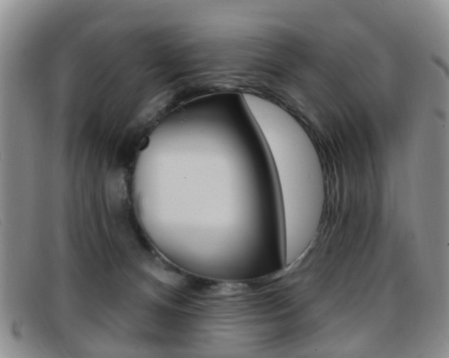 X0000096710128200802051046