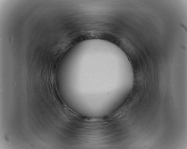 X0000096710129200802051046