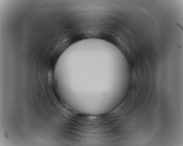 X0000096710130200802051046