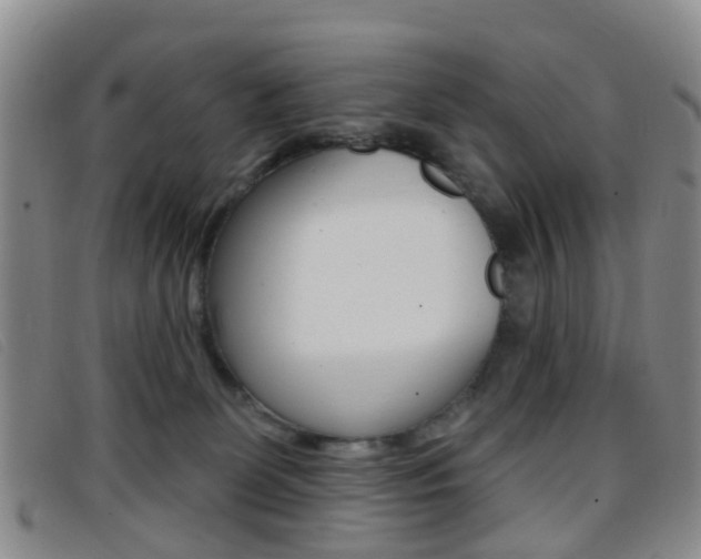 X0000096710131200802051046